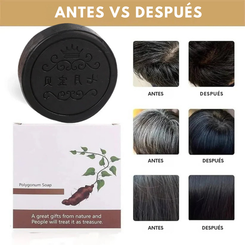 HairRevive™ | Shampoo Anticaída, Anti canas & Anti caspa Oferta ¡ PAGA 1 Y LLEVA 2 !